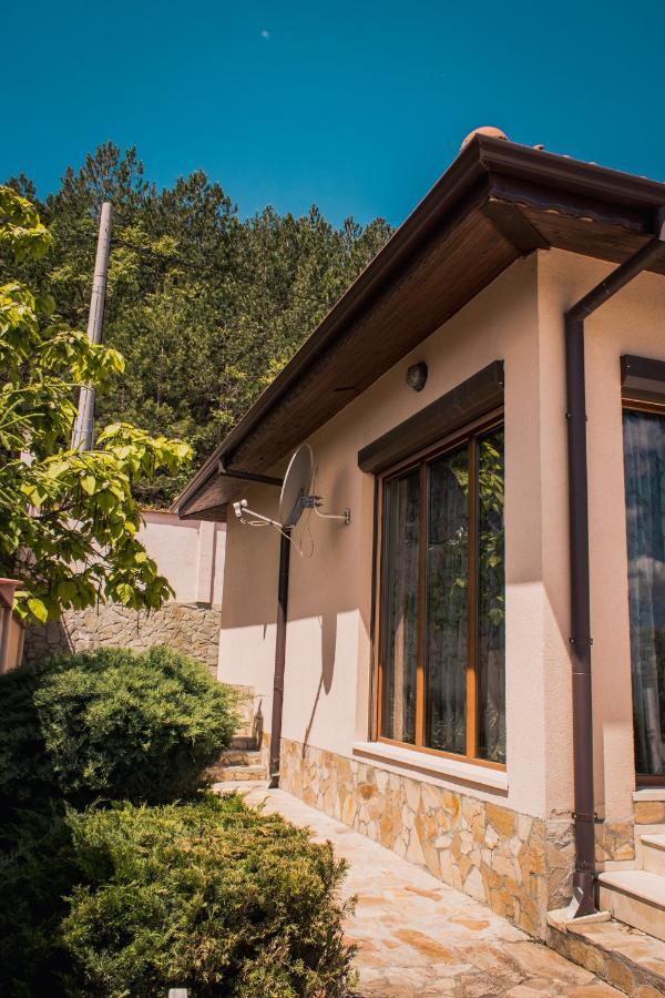 Rogachevo Dream House别墅 外观 照片